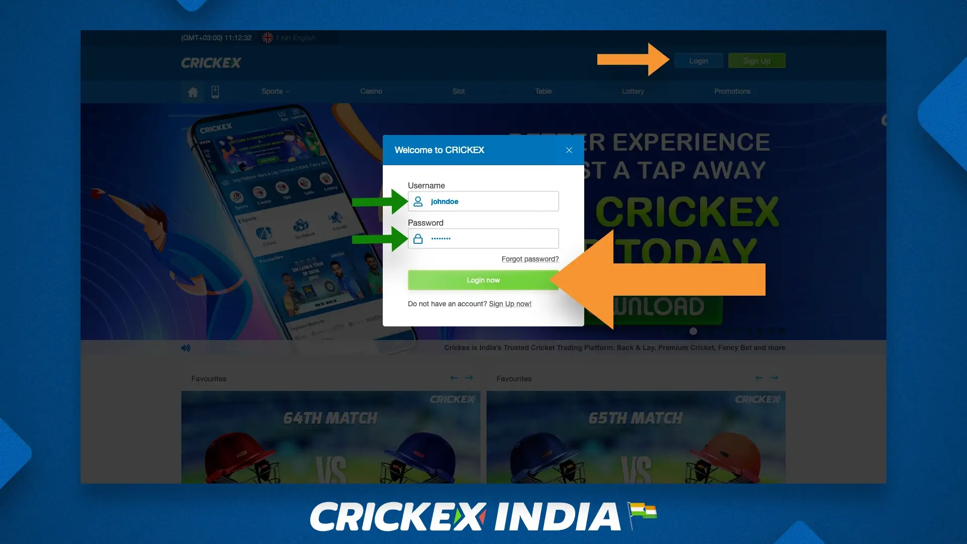 Crickex customer authorization form on the official website