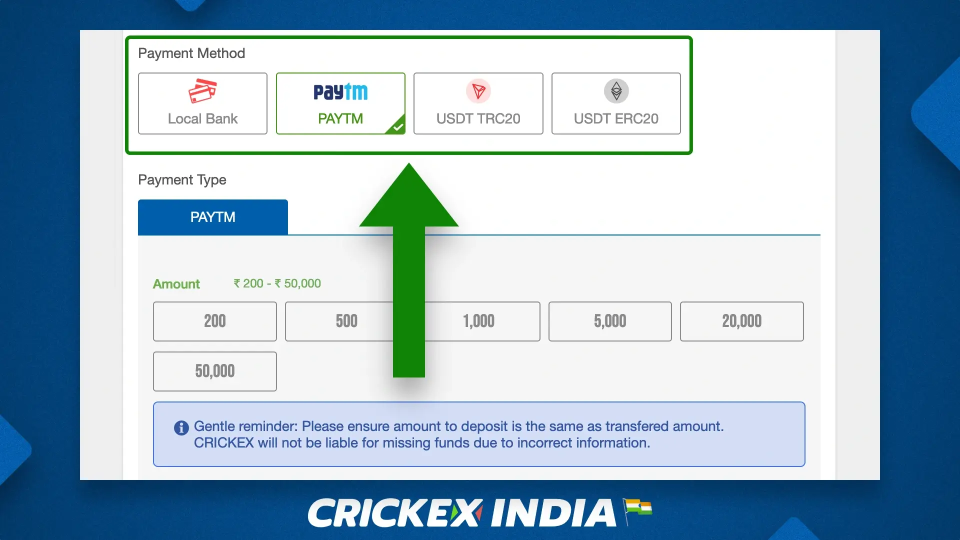 Choosing a payment method to deposit on the Crickex website