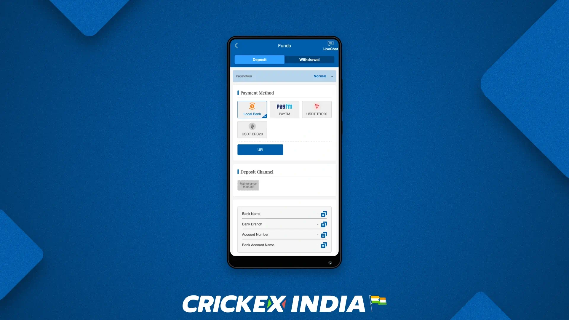 Available payment methods in the crickex mobile app for indian players