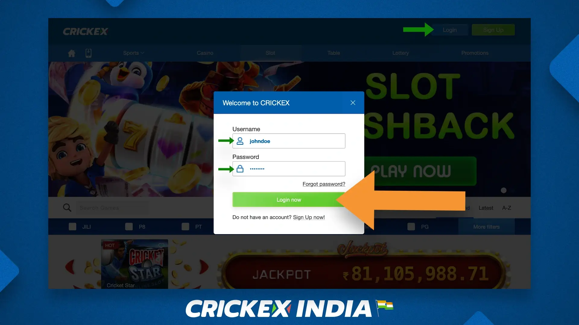 Sign in and log in to a personal account on the Crickex website