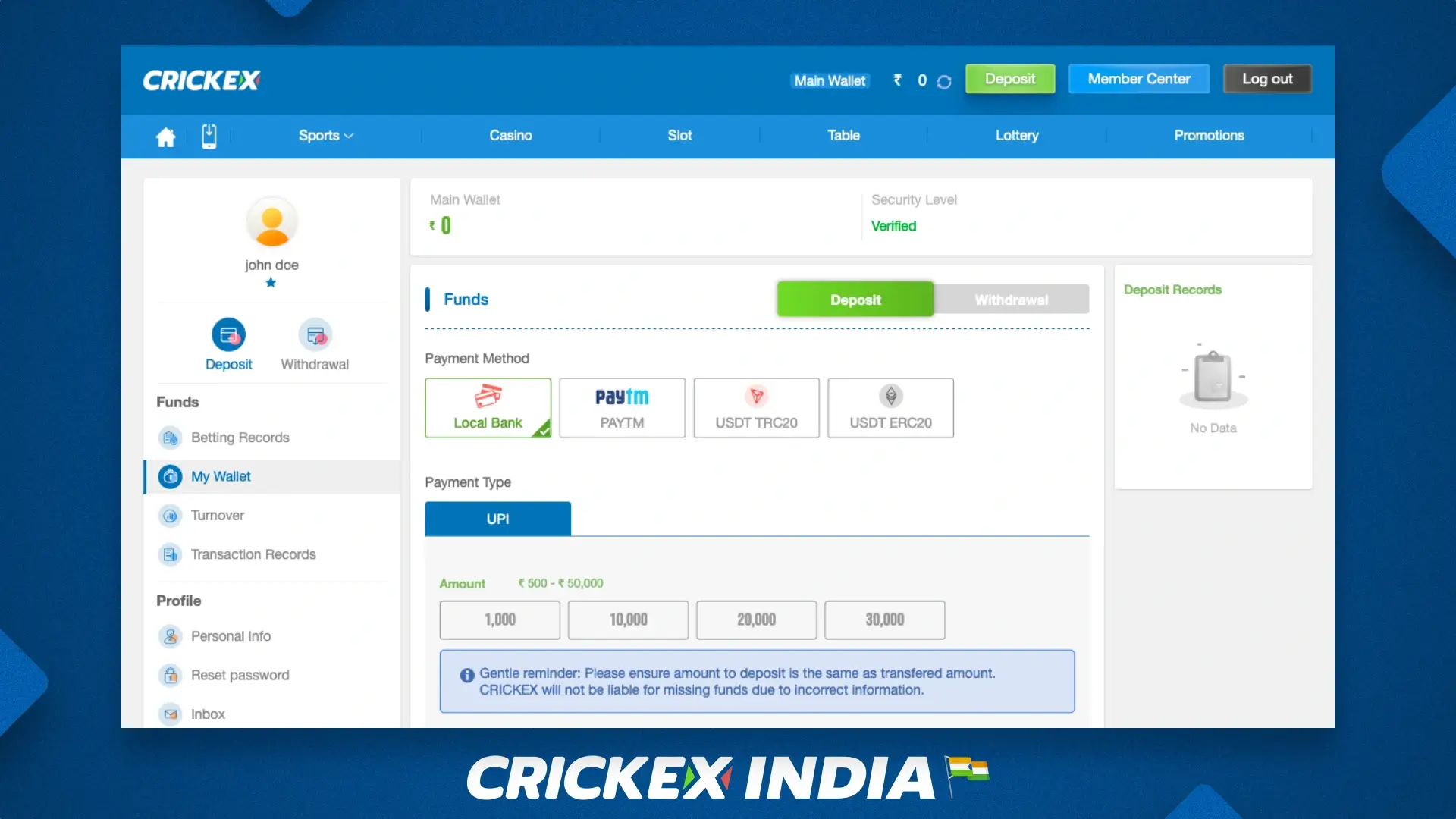 Payment methods available at Crickex, including paytm, usdt, local bank